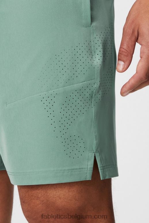 grijze tijm geperforeerd Heren de fundamentele korte ii 146 Fabletics LH20J3203